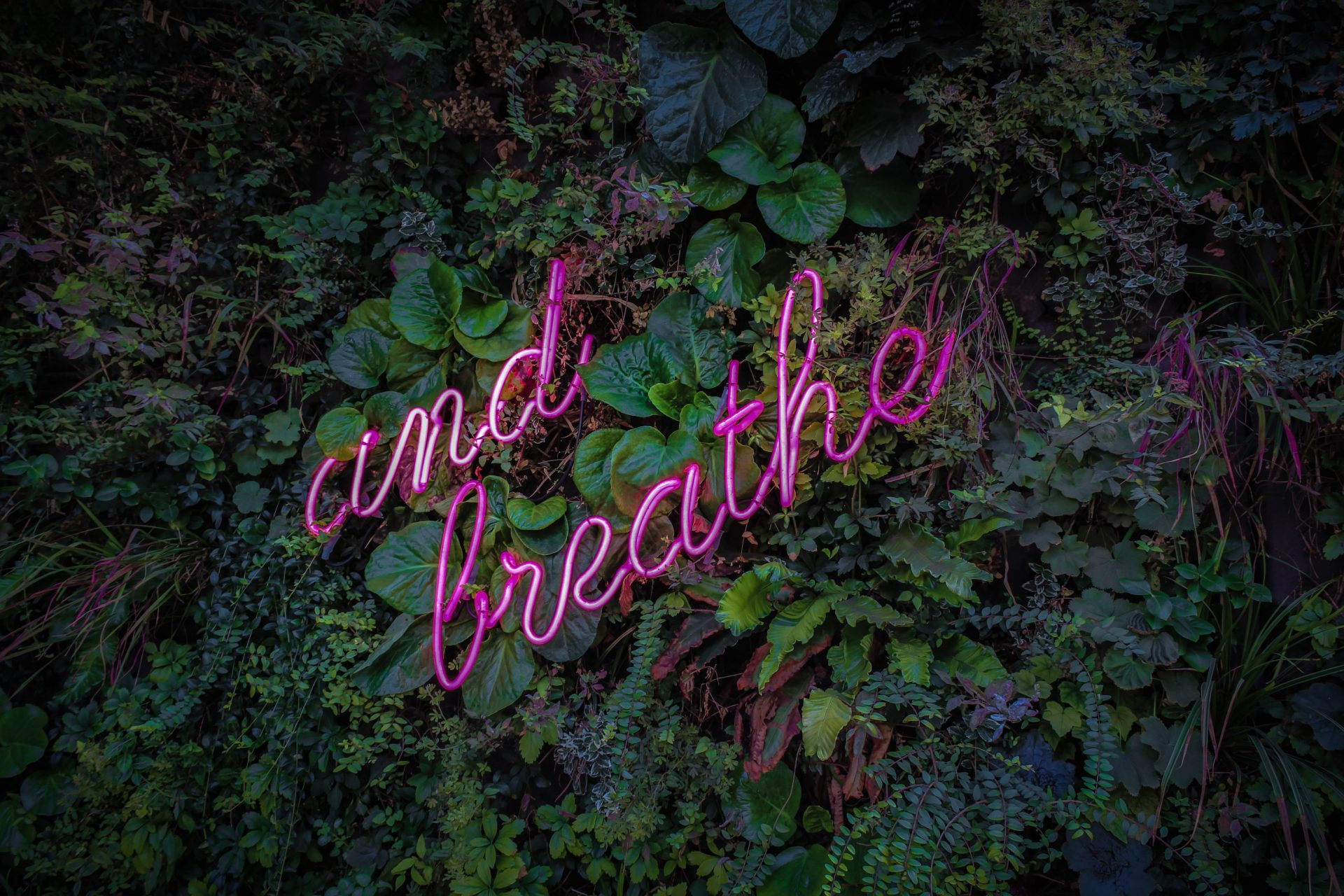 Time you enjoy wasting is not wasted time.